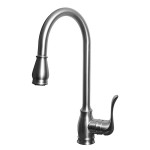 Bathroom Faucet 10189BN